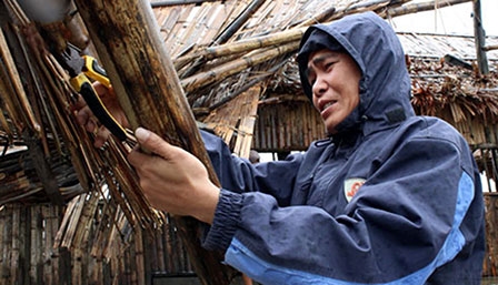 Đã có 18 người chết và mất tích, 81 người bị thương do bão số 14