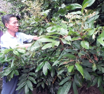 PHÁT HUY TRUYỀN THỐNG, PHẨM CHẤT “BỘ ĐỘI CỤ HỒ”