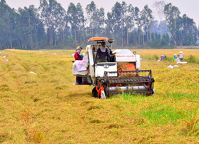 Mức chia lãi cho xã viên đạt từ 4,2 - 5%/tháng