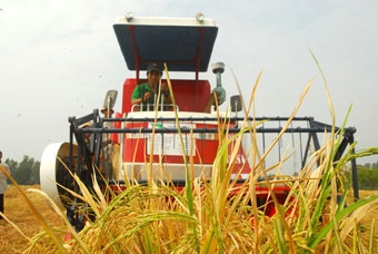 Phải đặt lợi ích nông dân lên hàng đầu