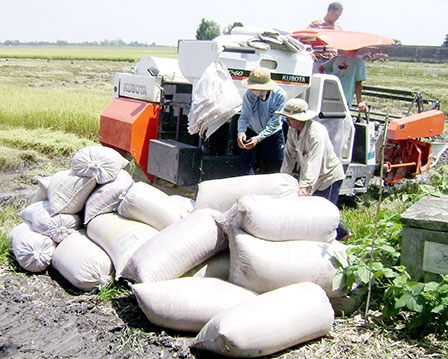 Cuộc “cách mạng xanh” 
trong nông nghiệp