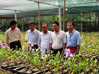 THI ĐUA SẢN XUẤT GIỎI