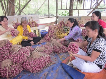 Quan tâm tạo việc làm cho người lao động