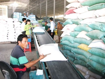 Lóe sáng những tia 
hy vọng mới