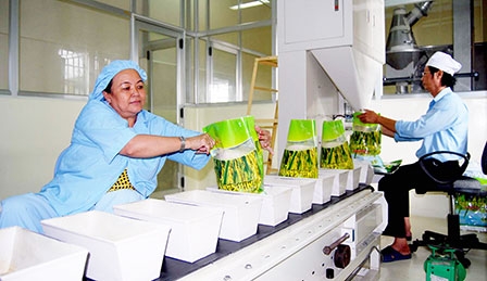 Tiếp tục đẩy mạnh thực hiện Cuộc vận động
“Người Việt Nam ưu tiên dùng hàng Việt Nam”