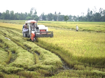 Đầu tư thỏa đáng để ĐBSCL phát triển bền vững