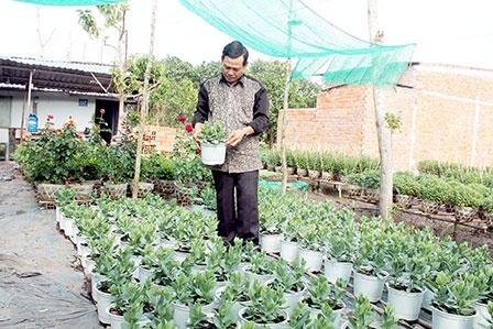 Nâng chất lượng rau màu, 
trái cây phục vụ thị trường Tết