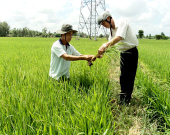 Tái cơ cấu ngành nông nghiệp
song hành đầu tư nguồn nhân lực