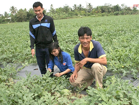 Nhiều việc làm thiết thực 
vì lợi ích cộng đồng