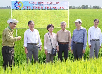 Trung An góp phần nâng cao giá trị hạt gạo Cần Thơ