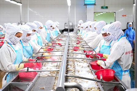 Mừng - lo con tôm “xuất ngoại”