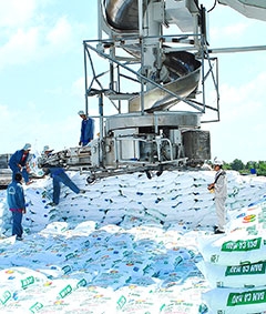 Nhà máy đạm Cà Mau 
sản xuất vượt kế hoạch