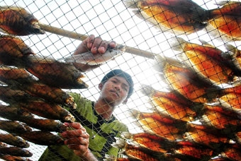 Làng khô vào mùa Tết