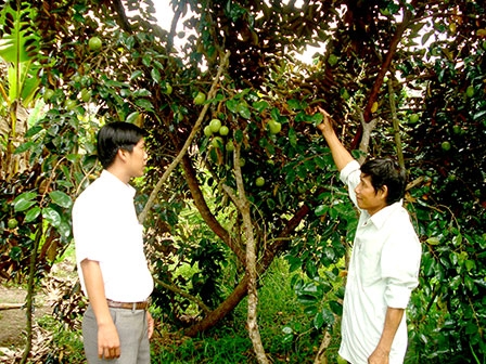 Hiệu quả từ những 
giải pháp phù hợp