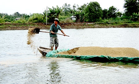 Gỡ rối thế nào?