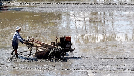 Kỳ vọng và thách thức