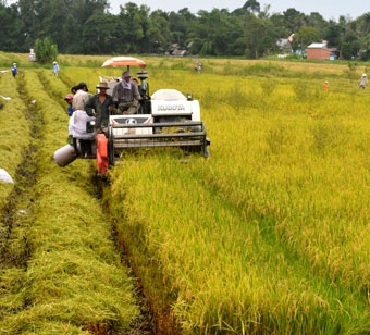 Kỳ vọng và thách thức