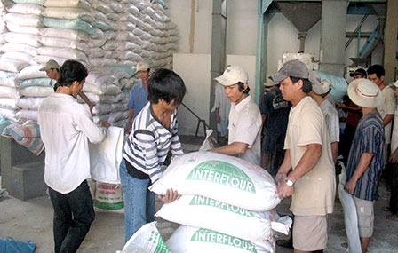 Giá lúa ở mức cao 
lúc nông dân hết lúa