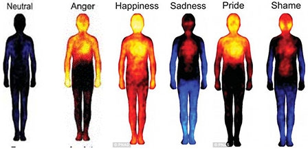 Tâm trạng ảnh hưởng đến cảm giác 
của cơ thể như thế nào