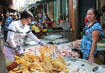 TĂNG CƯỜNG PHÒNG CHỐNG DỊCH BỆNH TRÊN ĐỘNG VẬT, ĐẢM BẢO AN TOÀN THỰC PHẨM TƯƠI SỐNG DỊP TẾT