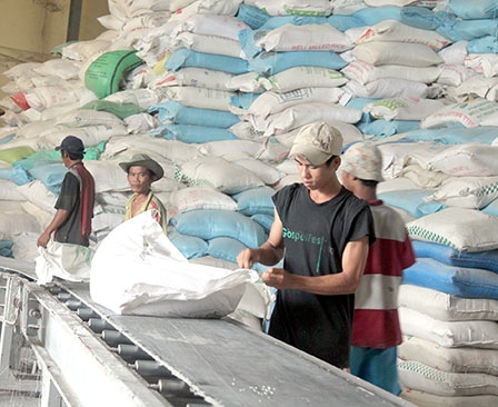 Tiếp tục vượt khó, 
mở rộng thị trường