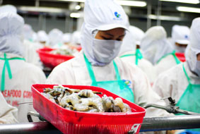 CÀ MAU: Lần đầu tiên xuất khẩu thủy sản cán mốc 1 tỉ USD