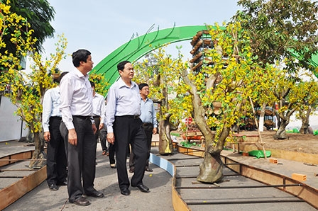 Lãnh đạo thành phố kiểm tra việc thực hiện đường hoa nghệ thuật