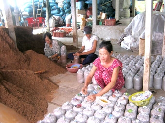 Quận Bình Thủy 
tạo đà phát triển kinh tế