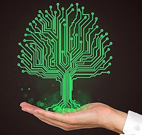 Biến cây xanh thành cảm biến sinh học 
đánh giá “sức khỏe” môi trường