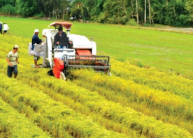 Thực chất “tam nông”!