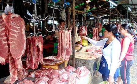 Sức mua bắt đầu tăng 
nhưng giá chưa “hạ nhiệt”