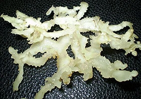 Rong câu chân vịt