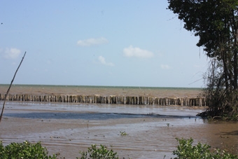 Sẽ hưởng lợi từ dự án “Cải thiện sức chống chịu vùng  ven biển Đông Nam Á”