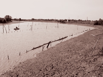 Băn khoăn trước vụ sò mới