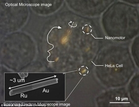 “Động cơ nano” có thể chữa bệnh từ trong tế bào