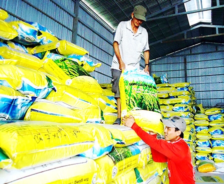 Củng cố, nâng chất hoạt động kinh tế tập thể