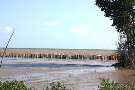 Sẽ hưởng lợi từ dự án “Cải thiện sức
chống chịu vùng ven biển Đông Nam Á”