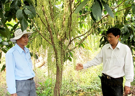 Đẩy mạnh chuyển đổi cơ cấu 
sản xuất nông nghiệp