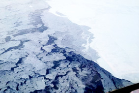 Băng tan biến Bắc cực thành nguyên nhân chính gây biến đổi khí hậu