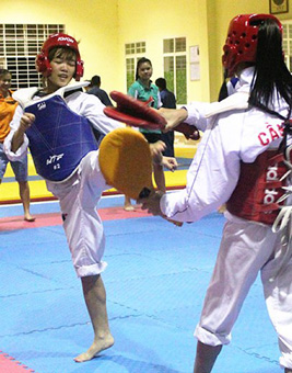 Taekwondo Cần Thơ dự tranh 22 nội dung thi đấu