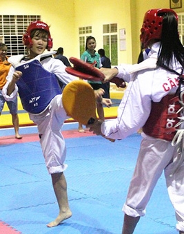 Taekwondo Cần Thơ dự tranh 22 nội dung thi đấu