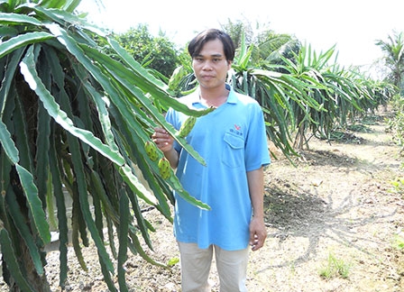 Cần mẫn làm giàu