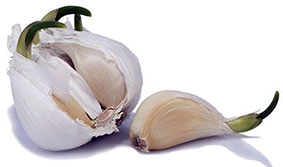 Tỏi mọc mầm chứa nhiều 
chất chống ôxy hóa