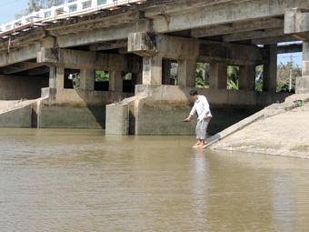 Chủ động phòng chống hạn, xâm nhập mặn