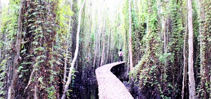 Làng nổi Tân Lập