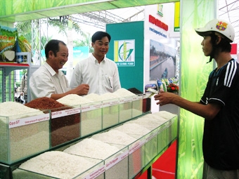 MPED-HƯỚNG ĐẾN MỤC TIÊU 
PHÁT TRIỂN ĐÔ THỊ BỀN VỮNG