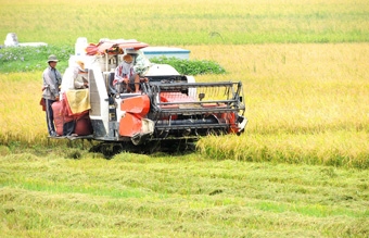 Cần “một chiếc áo pháp lý” để liên kết vùng