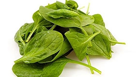 Chiết xuất cải bó xôi giúp chống bệnh béo phì