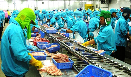 Doanh nghiệp củng cố nội lực, đón thời cơ