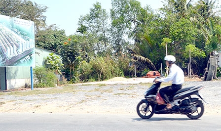 Tích cực phòng, chống dịch cúm gia cầm